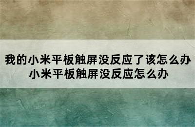 我的小米平板触屏没反应了该怎么办 小米平板触屏没反应怎么办